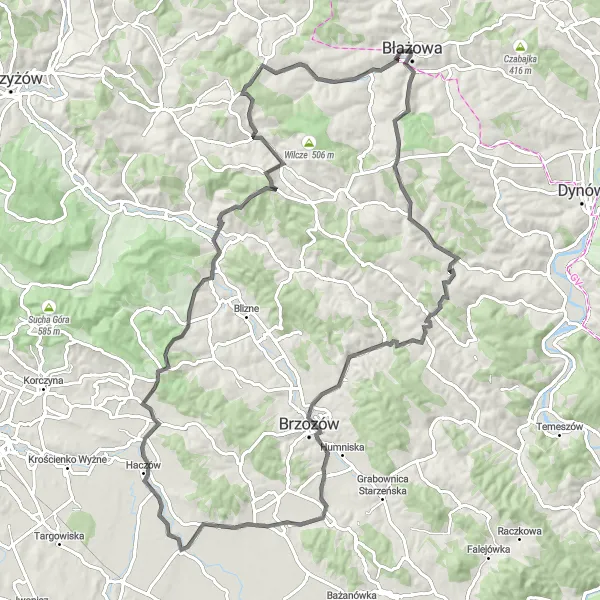 Map miniature of "Kamieniec Road Loop" cycling inspiration in Podkarpackie, Poland. Generated by Tarmacs.app cycling route planner