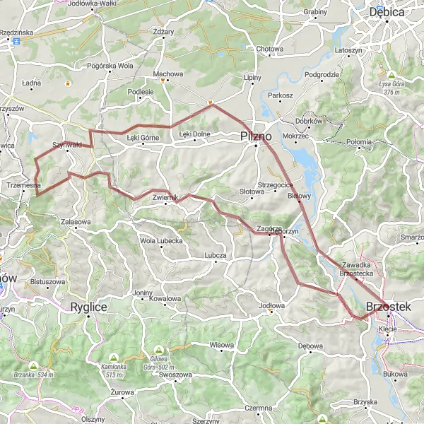 Map miniature of "Exploring the Gravel Roads of Brzostek" cycling inspiration in Podkarpackie, Poland. Generated by Tarmacs.app cycling route planner