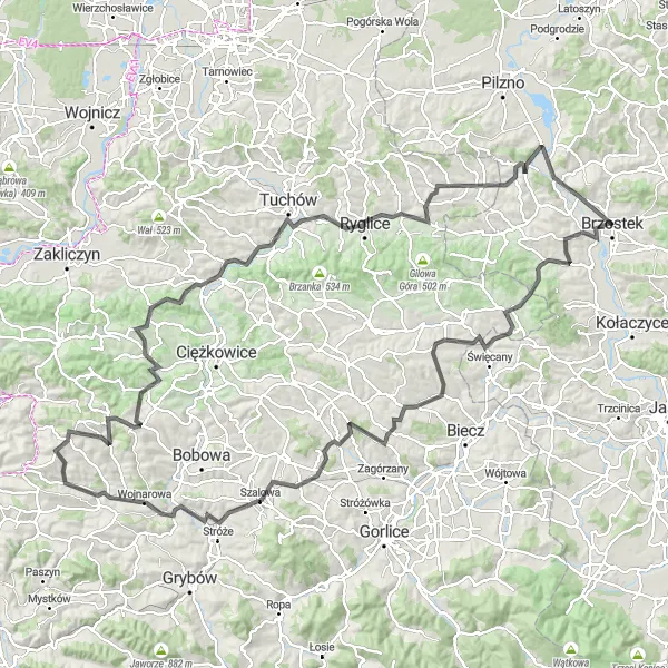 Map miniature of "Challenging Road Trip to Czermna and Ryglice" cycling inspiration in Podkarpackie, Poland. Generated by Tarmacs.app cycling route planner