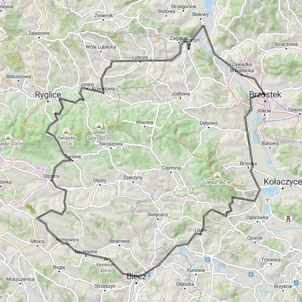 Map miniature of "Medieval Delights" cycling inspiration in Podkarpackie, Poland. Generated by Tarmacs.app cycling route planner