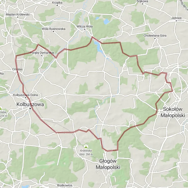 Map miniature of "Gravel Adventure Loop" cycling inspiration in Podkarpackie, Poland. Generated by Tarmacs.app cycling route planner