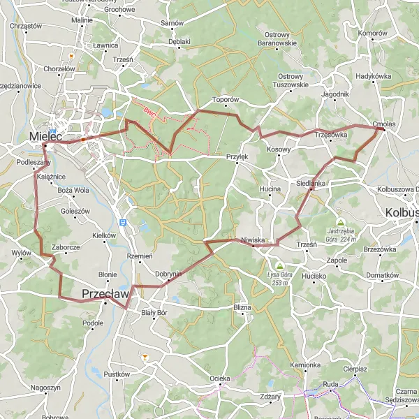 Map miniature of "Into the Wilds of Niwiska" cycling inspiration in Podkarpackie, Poland. Generated by Tarmacs.app cycling route planner