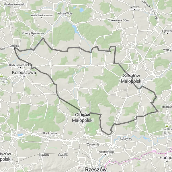 Map miniature of "Taste of South-East Poland" cycling inspiration in Podkarpackie, Poland. Generated by Tarmacs.app cycling route planner