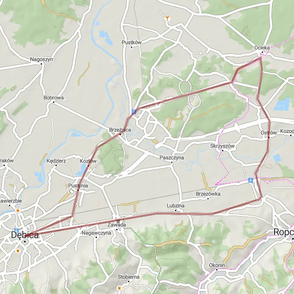 Map miniature of "Pustynia Loop" cycling inspiration in Podkarpackie, Poland. Generated by Tarmacs.app cycling route planner