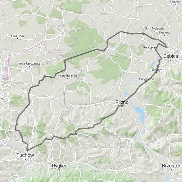 Map miniature of "Pilzno and Tuchów Loop" cycling inspiration in Podkarpackie, Poland. Generated by Tarmacs.app cycling route planner