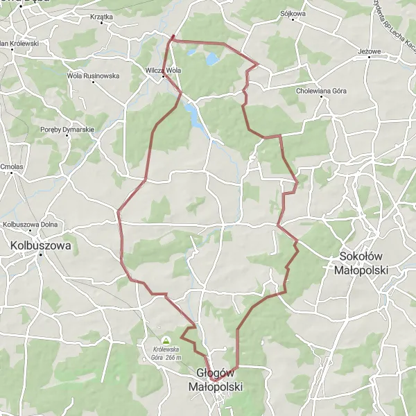 Miniatura mapy "Przejażdżka do Nowego Dzikowca" - trasy rowerowej w Podkarpackie, Poland. Wygenerowane przez planer tras rowerowych Tarmacs.app