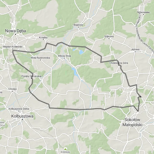 Map miniature of "Raniżów Extended Loop" cycling inspiration in Podkarpackie, Poland. Generated by Tarmacs.app cycling route planner