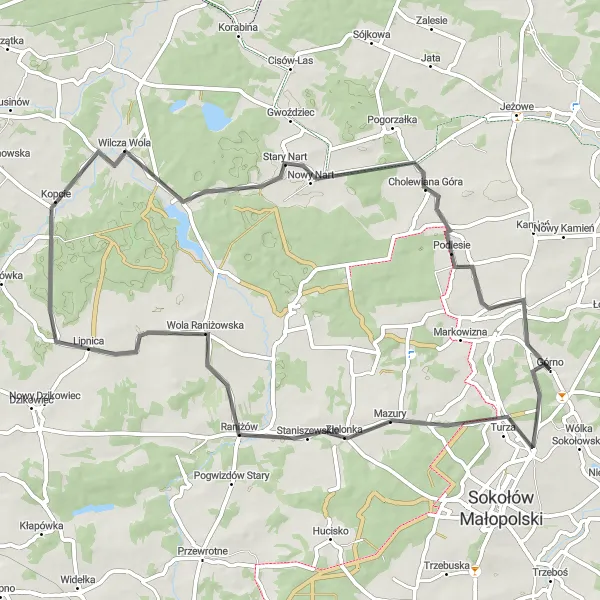 Map miniature of "Raniżów Loop" cycling inspiration in Podkarpackie, Poland. Generated by Tarmacs.app cycling route planner