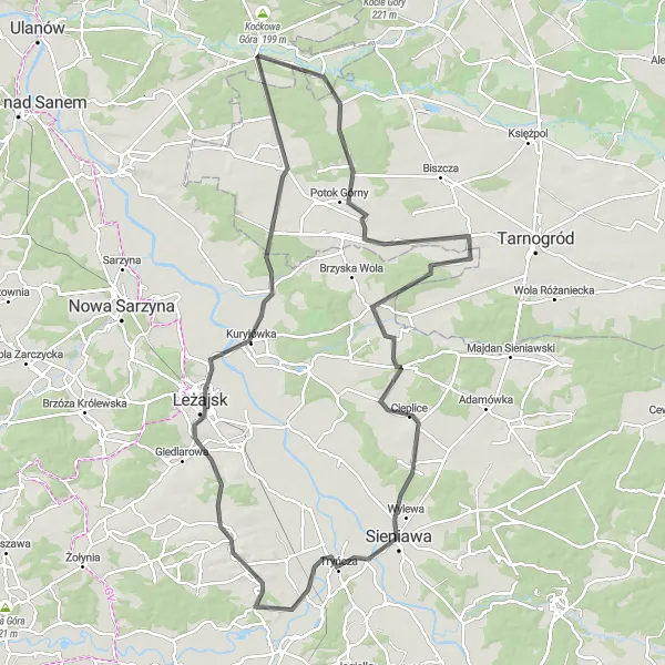 Map miniature of "Leżajsk and Beyond" cycling inspiration in Podkarpackie, Poland. Generated by Tarmacs.app cycling route planner
