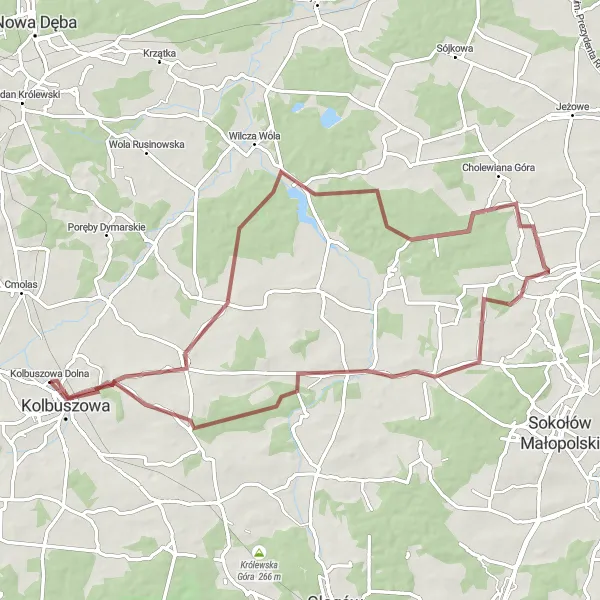 Miniatura mapy "Wyprawa Gravelowa do Raniżowa" - trasy rowerowej w Podkarpackie, Poland. Wygenerowane przez planer tras rowerowych Tarmacs.app
