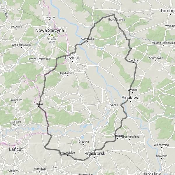 Map miniature of "Zolynia Route" cycling inspiration in Podkarpackie, Poland. Generated by Tarmacs.app cycling route planner