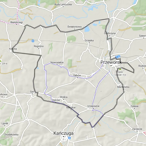 Map miniature of "Kosina to Kopiec Tatarski Round Trip" cycling inspiration in Podkarpackie, Poland. Generated by Tarmacs.app cycling route planner