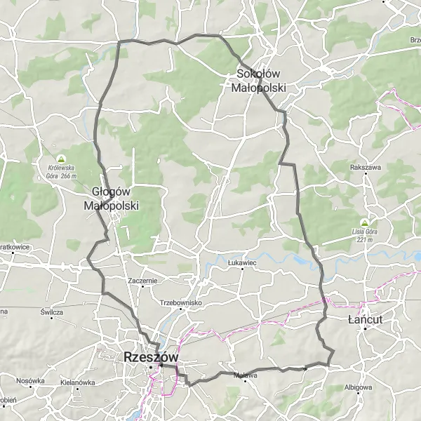 Miniatura mapy "Szlak przez Malawę i Raniżów" - trasy rowerowej w Podkarpackie, Poland. Wygenerowane przez planer tras rowerowych Tarmacs.app