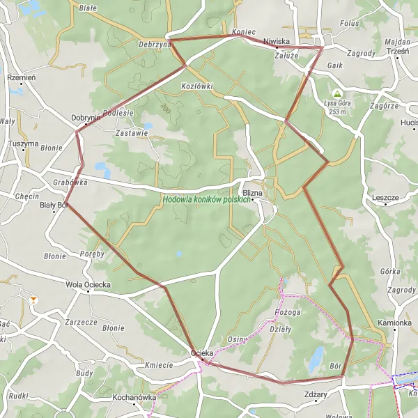 Map miniature of "Zdżary and Dobrynin Discovery" cycling inspiration in Podkarpackie, Poland. Generated by Tarmacs.app cycling route planner