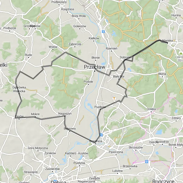 Map miniature of "Niwiska Trail" cycling inspiration in Podkarpackie, Poland. Generated by Tarmacs.app cycling route planner