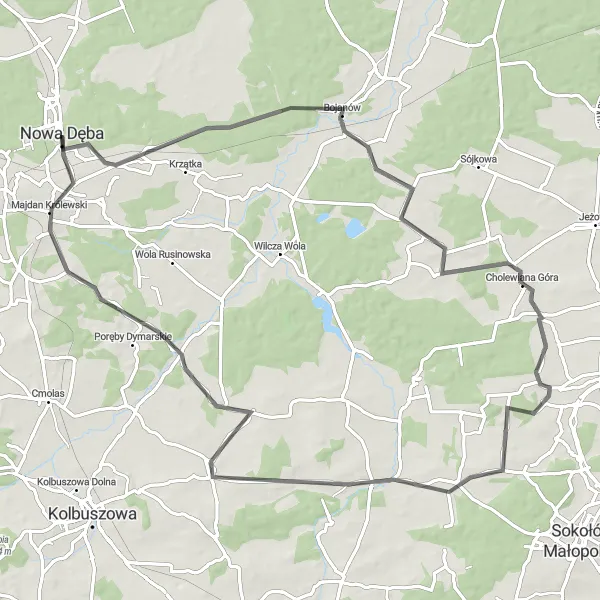 Miniatura mapy "Wycieczka do Nowego Dzikowca" - trasy rowerowej w Podkarpackie, Poland. Wygenerowane przez planer tras rowerowych Tarmacs.app
