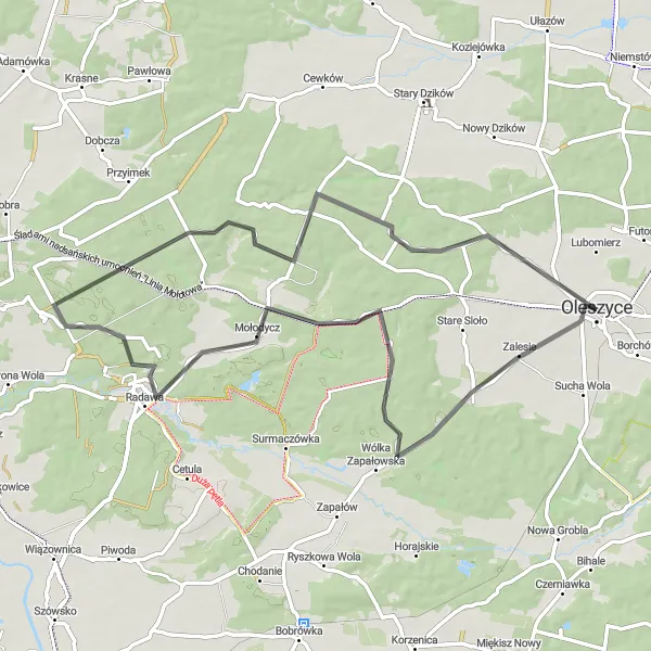 Map miniature of "Eastern Podkarpackie Adventure" cycling inspiration in Podkarpackie, Poland. Generated by Tarmacs.app cycling route planner