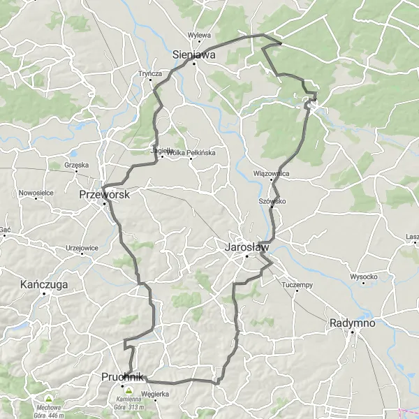 Map miniature of "Pełnatycze and Chłopice Road Endurance Challenge" cycling inspiration in Podkarpackie, Poland. Generated by Tarmacs.app cycling route planner