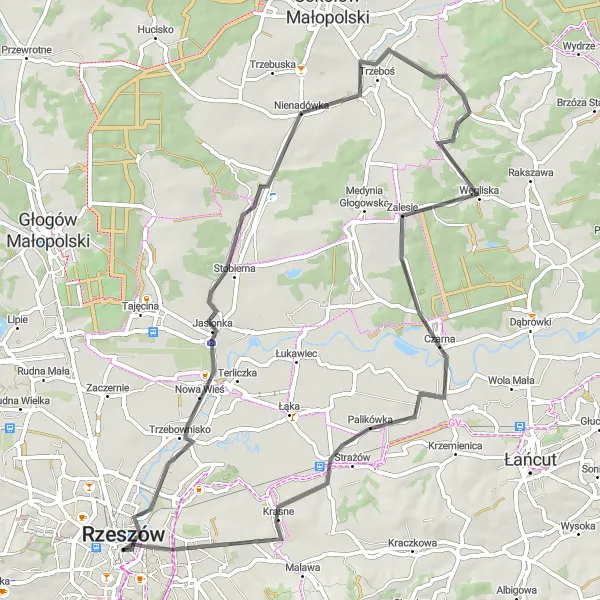 Map miniature of "Charming Road Loop" cycling inspiration in Podkarpackie, Poland. Generated by Tarmacs.app cycling route planner