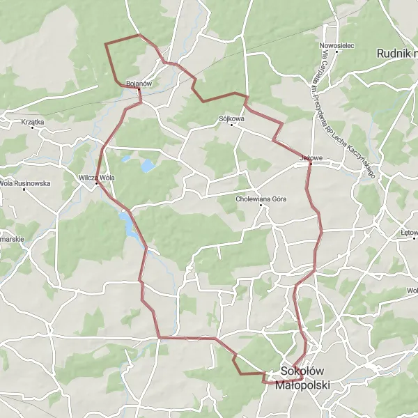 Miniatura mapy "Trasa Wilcza Wola - Sokołów Małopolski" - trasy rowerowej w Podkarpackie, Poland. Wygenerowane przez planer tras rowerowych Tarmacs.app