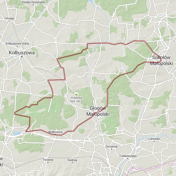 Miniatura mapy "Trasa Gravelowa do Raniżowa" - trasy rowerowej w Podkarpackie, Poland. Wygenerowane przez planer tras rowerowych Tarmacs.app