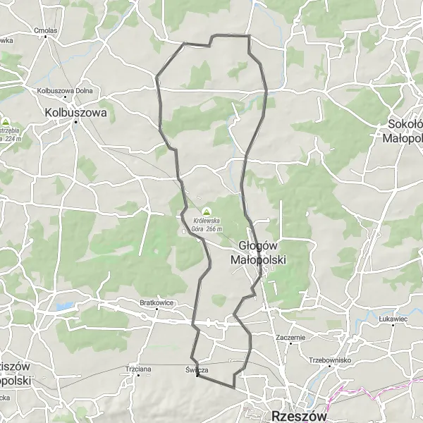 Map miniature of "Budy Głogowskie and Styków Adventure" cycling inspiration in Podkarpackie, Poland. Generated by Tarmacs.app cycling route planner