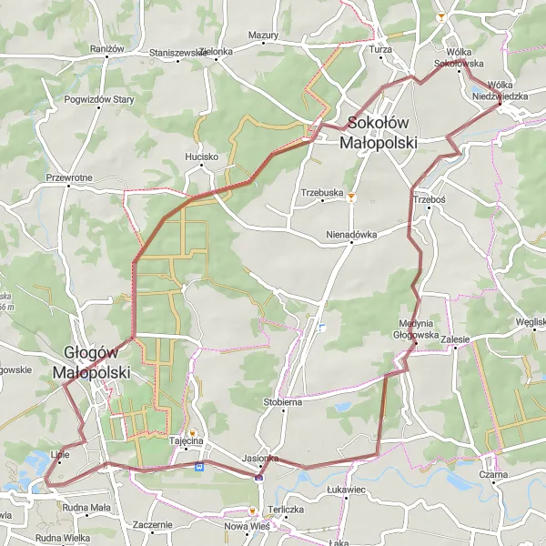 Map miniature of "Gravel Adventure to Głogów Małopolski" cycling inspiration in Podkarpackie, Poland. Generated by Tarmacs.app cycling route planner