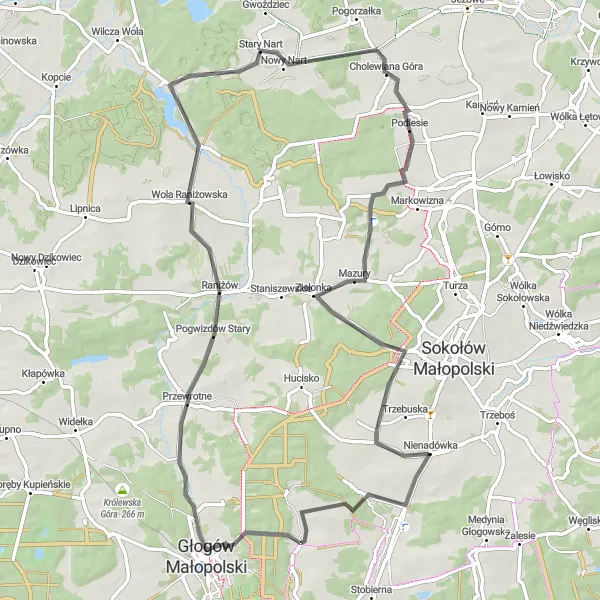 Map miniature of "Exploring the Rolling Hills" cycling inspiration in Podkarpackie, Poland. Generated by Tarmacs.app cycling route planner