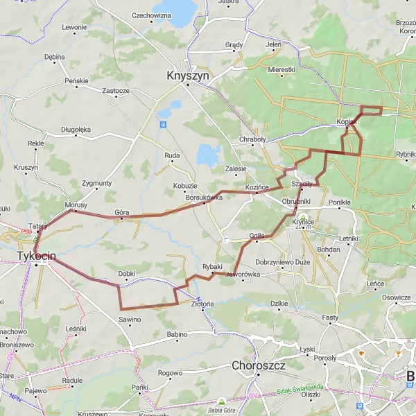 Map miniature of "The Forests and Villages of Podlaskie Gravel Tour" cycling inspiration in Podlaskie, Poland. Generated by Tarmacs.app cycling route planner