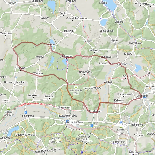 Map miniature of "Gravel and Forest" cycling inspiration in Pomorskie, Poland. Generated by Tarmacs.app cycling route planner