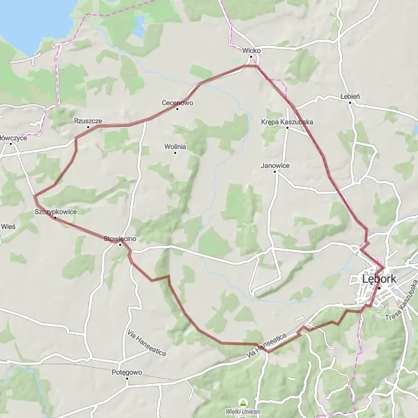 Miniatura mapy "Gravel przez Leśnice do Czartoryi" - trasy rowerowej w Pomorskie, Poland. Wygenerowane przez planer tras rowerowych Tarmacs.app