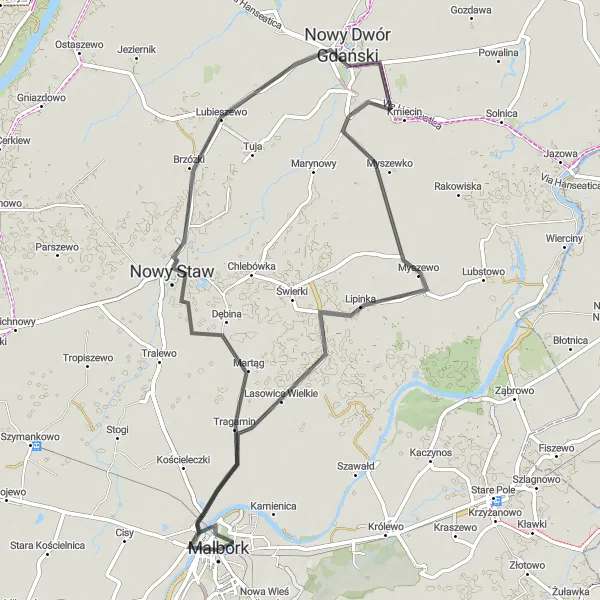 Map miniature of "Road Route from Malbork to Nowy Staw" cycling inspiration in Pomorskie, Poland. Generated by Tarmacs.app cycling route planner