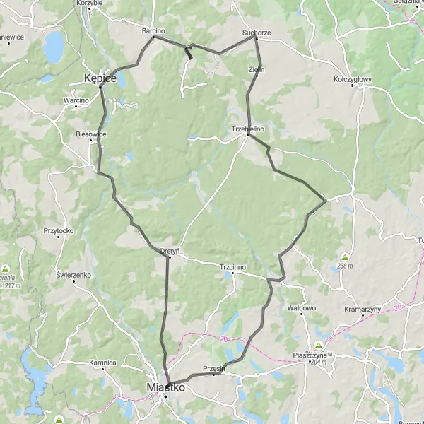 Map miniature of "Scenic Road Tour: Tursko, Kępice, and Przęsin" cycling inspiration in Pomorskie, Poland. Generated by Tarmacs.app cycling route planner