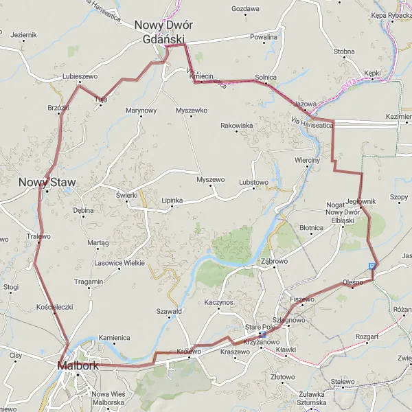 Map miniature of "Nowy Dwór Gdański to Malbork Gravel Route" cycling inspiration in Pomorskie, Poland. Generated by Tarmacs.app cycling route planner