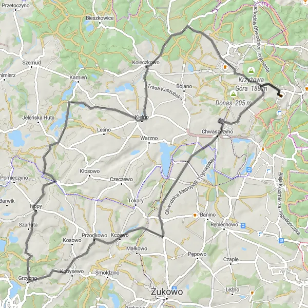 Map miniature of "Scenic Road Cycling Adventure" cycling inspiration in Pomorskie, Poland. Generated by Tarmacs.app cycling route planner