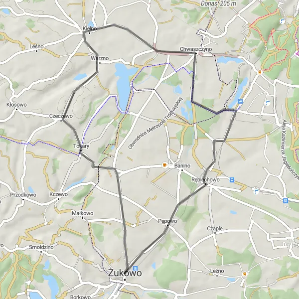 Map miniature of "Miszewo-Misery" cycling inspiration in Pomorskie, Poland. Generated by Tarmacs.app cycling route planner