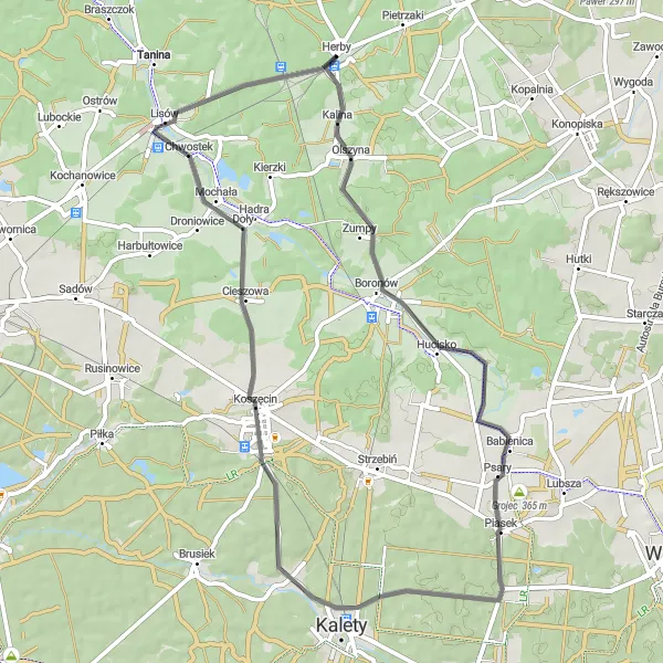 Map miniature of "Cultural Ride to Koszęcin" cycling inspiration in Śląskie, Poland. Generated by Tarmacs.app cycling route planner
