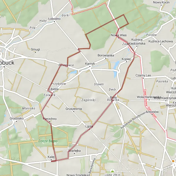 Map miniature of "Country Roads and Forests" cycling inspiration in Śląskie, Poland. Generated by Tarmacs.app cycling route planner