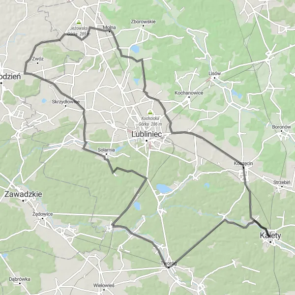 Map miniature of "Tworóg Loop Road Route" cycling inspiration in Śląskie, Poland. Generated by Tarmacs.app cycling route planner