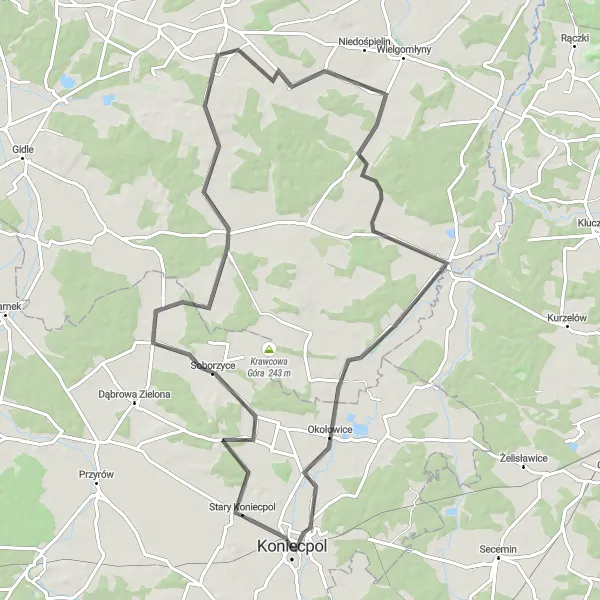 Map miniature of "Road Cycling to Koniecpol via Żytno, Kołodziejowa Góra, Maluszyn" cycling inspiration in Śląskie, Poland. Generated by Tarmacs.app cycling route planner