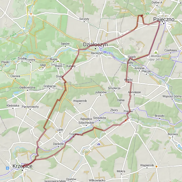 Miniatura mapy "Szlak Gravelowy z Natolinem i Działoszynem" - trasy rowerowej w Śląskie, Poland. Wygenerowane przez planer tras rowerowych Tarmacs.app