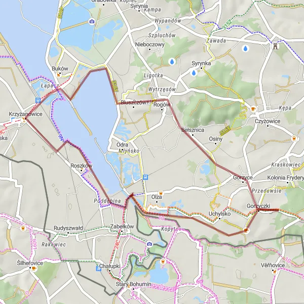 Map miniature of "Krzyżanowice - Kamieniec Round Trip" cycling inspiration in Śląskie, Poland. Generated by Tarmacs.app cycling route planner