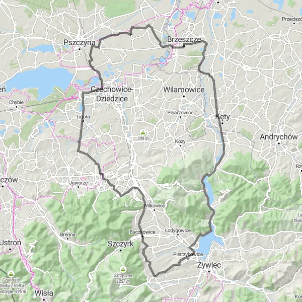 Map miniature of "Zasolnica Road Challenge" cycling inspiration in Śląskie, Poland. Generated by Tarmacs.app cycling route planner