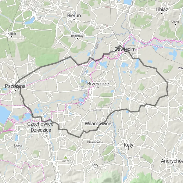 Miniatura mapy "Trasa Zamkowa Pszczyna-Goczałkowice-Zdrój" - trasy rowerowej w Śląskie, Poland. Wygenerowane przez planer tras rowerowych Tarmacs.app