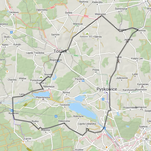 Map miniature of "Rudziniec to Bojszów" cycling inspiration in Śląskie, Poland. Generated by Tarmacs.app cycling route planner