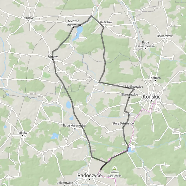 Map miniature of "Scenic Ride: Radoszyce to Żarnów" cycling inspiration in Świętokrzyskie, Poland. Generated by Tarmacs.app cycling route planner