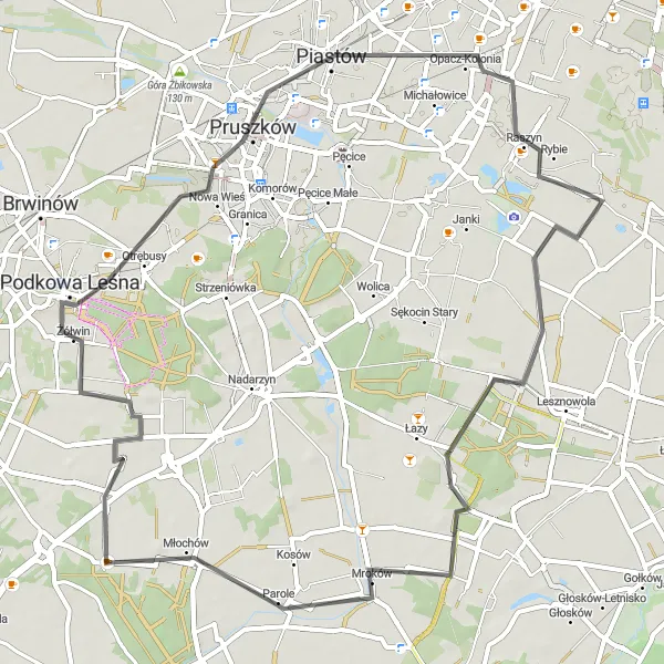 Map miniature of "Janczewice and Podkowa Leśna" cycling inspiration in Warszawski stołeczny, Poland. Generated by Tarmacs.app cycling route planner