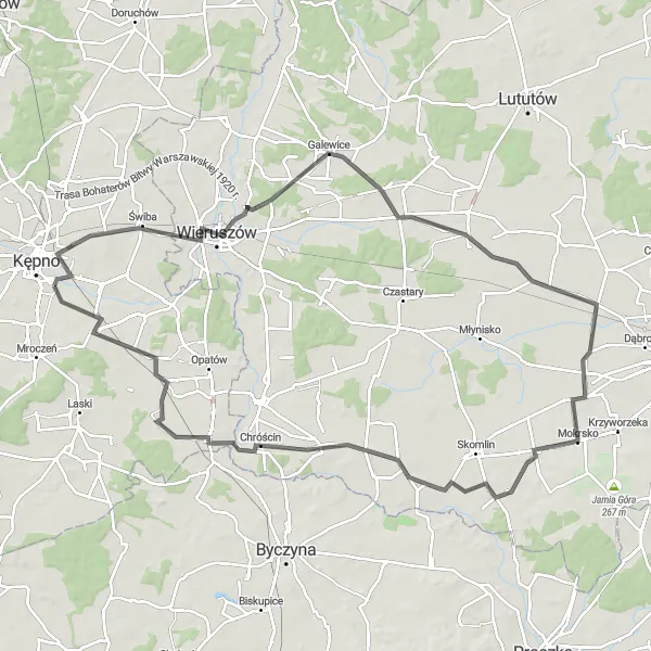 Map miniature of "Wielkopolskie Adventure" cycling inspiration in Wielkopolskie, Poland. Generated by Tarmacs.app cycling route planner