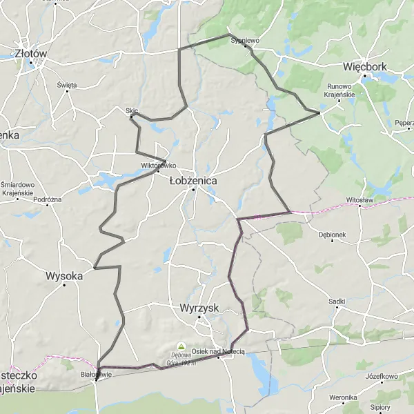 Map miniature of "Białośliwie - Młotkowo - Skic - Sypniewo - Dźwierszno Wielkie - Glesno - Krostkowo - Białośliwie" cycling inspiration in Wielkopolskie, Poland. Generated by Tarmacs.app cycling route planner