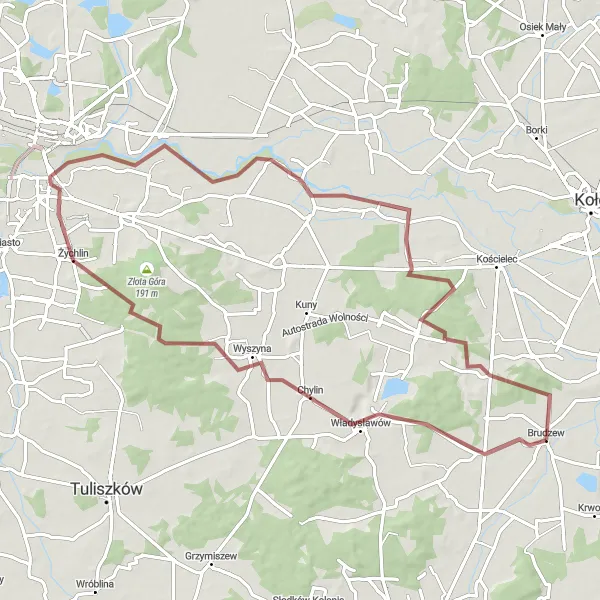 Map miniature of "The Żychlin Route" cycling inspiration in Wielkopolskie, Poland. Generated by Tarmacs.app cycling route planner
